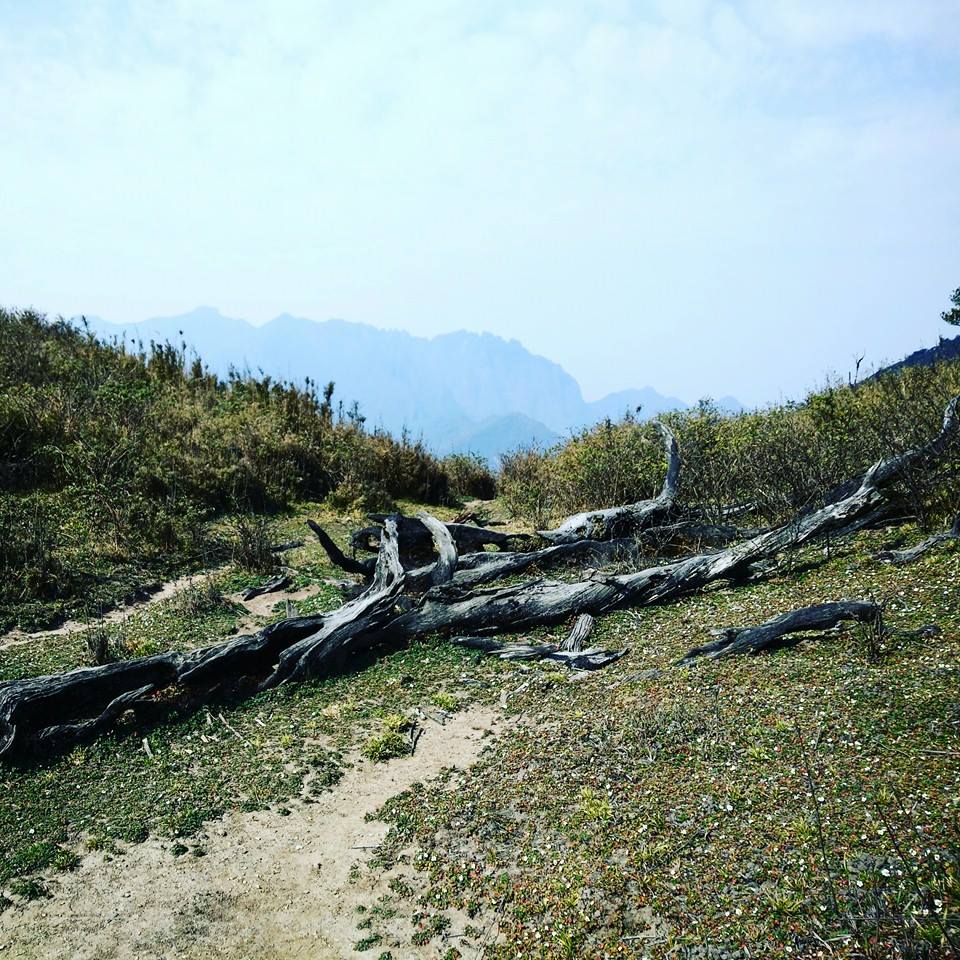 Đường[-]lên[-]Bạch[-]Mộc[-]Lương[-]Tử